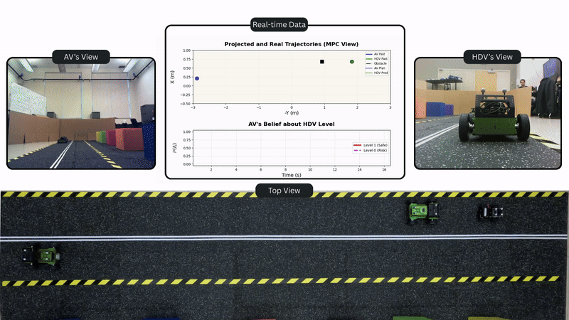 Dynamic Embedding Optimization